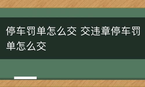 停车罚单怎么交 交违章停车罚单怎么交