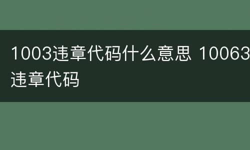 1003违章代码什么意思 10063违章代码