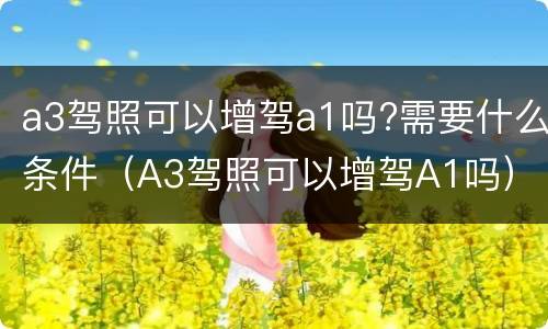 a3驾照可以增驾a1吗?需要什么条件（A3驾照可以增驾A1吗）