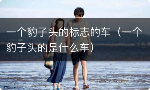 一个豹子头的标志的车（一个豹子头的是什么车）