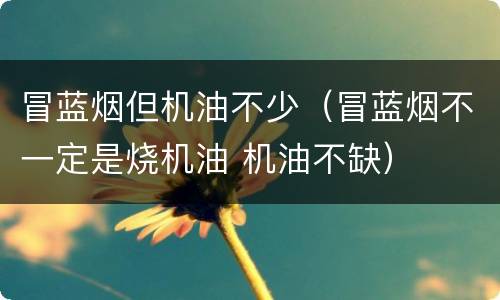 冒蓝烟但机油不少（冒蓝烟不一定是烧机油 机油不缺）