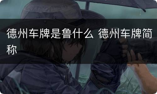 德州车牌是鲁什么 德州车牌简称