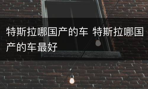 特斯拉哪国产的车 特斯拉哪国产的车最好