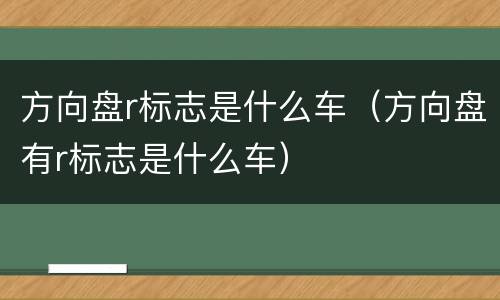 方向盘r标志是什么车（方向盘有r标志是什么车）