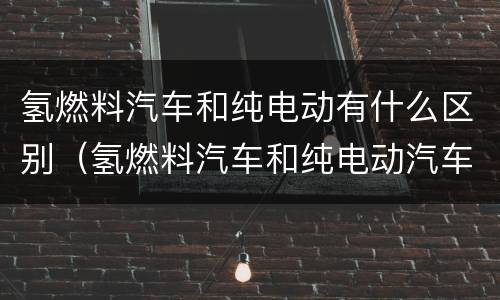 氢燃料汽车和纯电动有什么区别（氢燃料汽车和纯电动汽车哪里不一样）