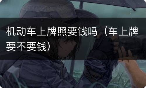 机动车上牌照要钱吗（车上牌要不要钱）