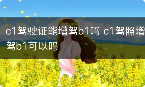 c1驾驶证能增驾b1吗 c1驾照增驾b1可以吗