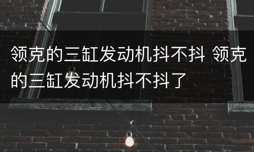 领克的三缸发动机抖不抖 领克的三缸发动机抖不抖了