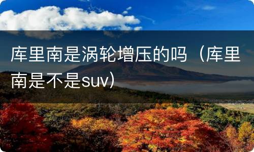 库里南是涡轮增压的吗（库里南是不是suv）
