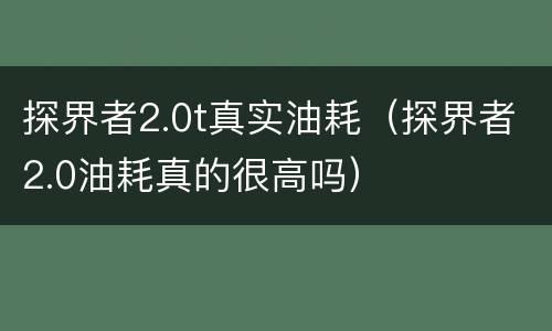 探界者2.0t真实油耗（探界者2.0油耗真的很高吗）
