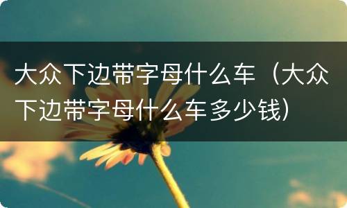 大众下边带字母什么车（大众下边带字母什么车多少钱）