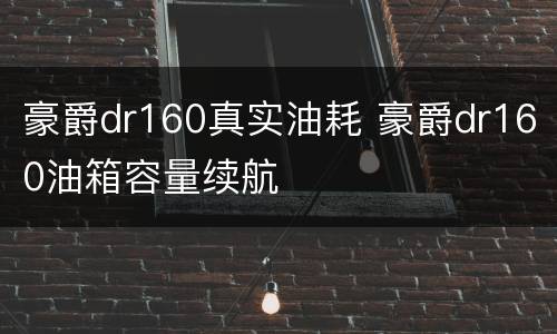 豪爵dr160真实油耗 豪爵dr160油箱容量续航