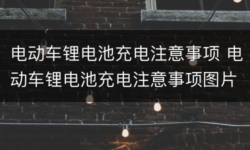 电动车锂电池充电注意事项 电动车锂电池充电注意事项图片