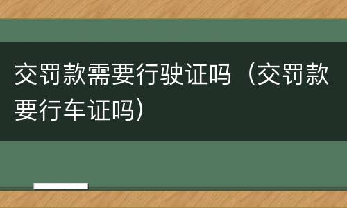 交罚款需要行驶证吗（交罚款要行车证吗）