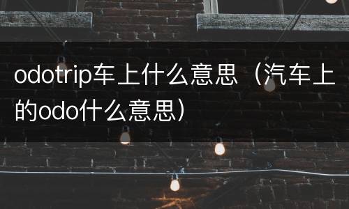 odotrip车上什么意思（汽车上的odo什么意思）