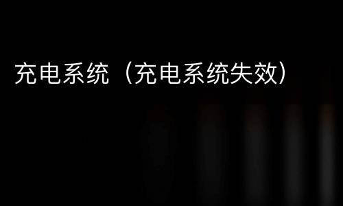 充电系统（充电系统失效）