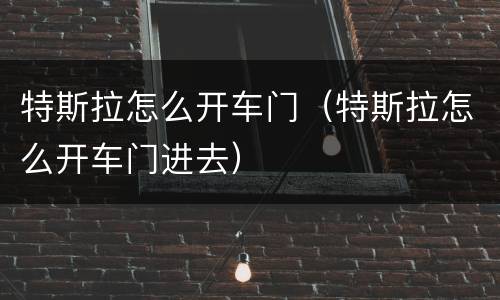 特斯拉怎么开车门（特斯拉怎么开车门进去）