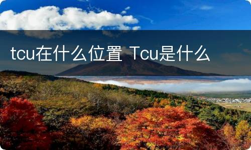 tcu在什么位置 Tcu是什么