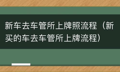 新车去车管所上牌照流程（新买的车去车管所上牌流程）