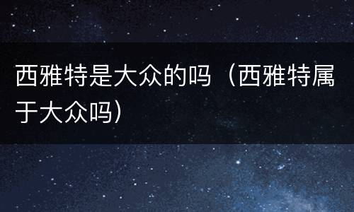 西雅特是大众的吗（西雅特属于大众吗）