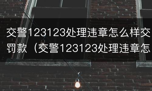 交警123123处理违章怎么样交罚款（交警123123处理违章怎么样交罚款的）