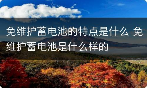免维护蓄电池的特点是什么 免维护蓄电池是什么样的
