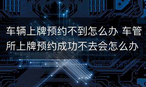 车辆上牌预约不到怎么办 车管所上牌预约成功不去会怎么办