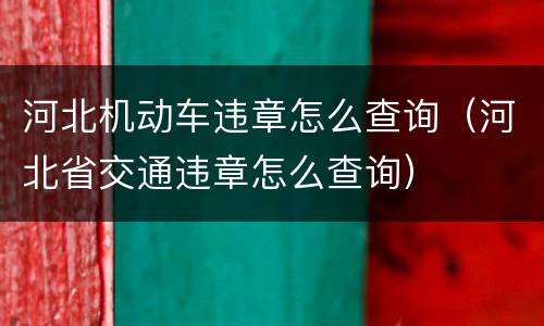 河北机动车违章怎么查询（河北省交通违章怎么查询）