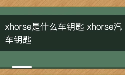 xhorse是什么车钥匙 xhorse汽车钥匙