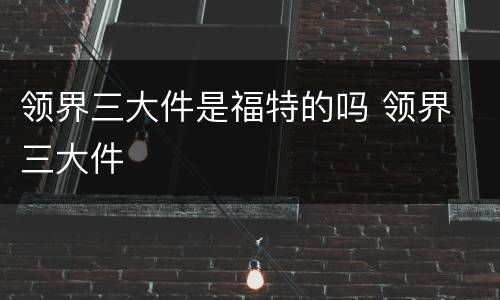 领界三大件是福特的吗 领界 三大件