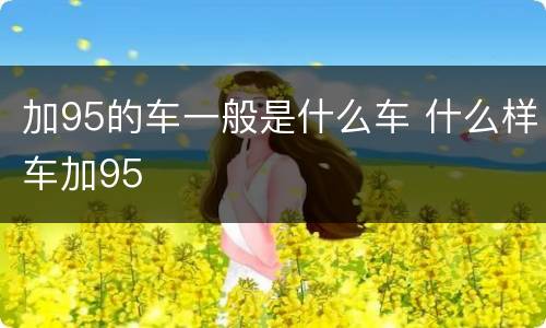 加95的车一般是什么车 什么样车加95