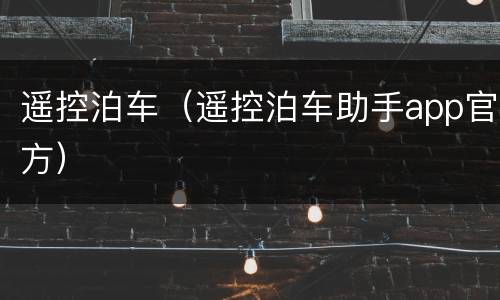 遥控泊车（遥控泊车助手app官方）