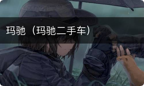 玛驰（玛驰二手车）