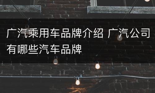 广汽乘用车品牌介绍 广汽公司有哪些汽车品牌