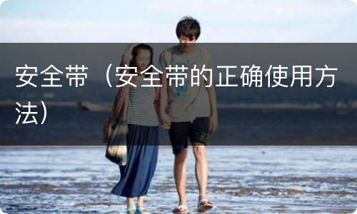 安全带（安全带的正确使用方法）