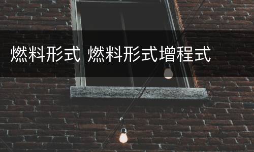 燃料形式 燃料形式增程式