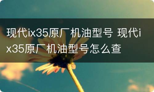 现代ix35原厂机油型号 现代ix35原厂机油型号怎么查