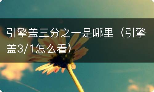 引擎盖三分之一是哪里（引擎盖3/1怎么看）