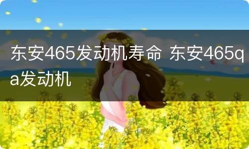 东安465发动机寿命 东安465qa发动机
