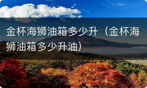 金杯海狮油箱多少升（金杯海狮油箱多少升油）