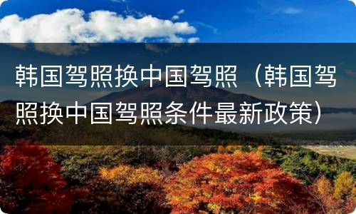 韩国驾照换中国驾照（韩国驾照换中国驾照条件最新政策）