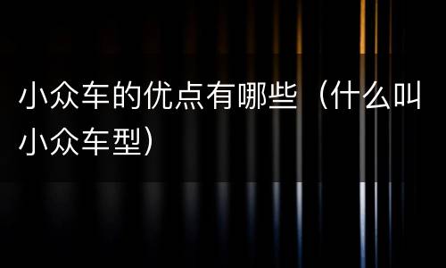 小众车的优点有哪些（什么叫小众车型）