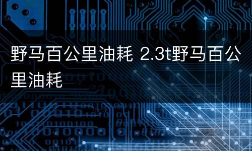 野马百公里油耗 2.3t野马百公里油耗