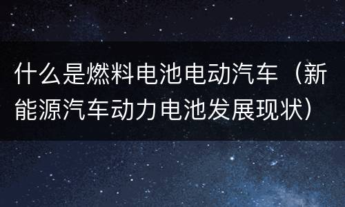 什么是燃料电池电动汽车（新能源汽车动力电池发展现状）
