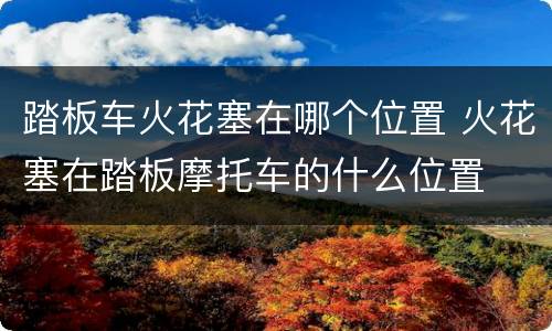 踏板车火花塞在哪个位置 火花塞在踏板摩托车的什么位置
