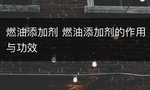 燃油添加剂 燃油添加剂的作用与功效