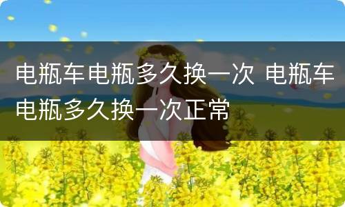 电瓶车电瓶多久换一次 电瓶车电瓶多久换一次正常