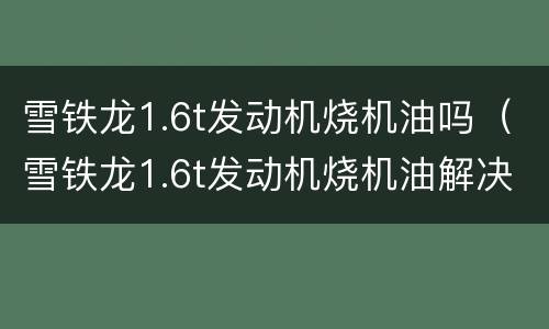 雪铁龙1.6t发动机烧机油吗（雪铁龙1.6t发动机烧机油解决了吗）