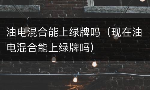 油电混合能上绿牌吗（现在油电混合能上绿牌吗）