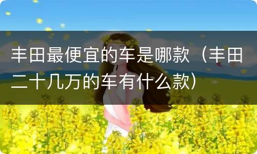 丰田最便宜的车是哪款（丰田二十几万的车有什么款）